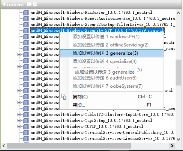 sim-wim-security-spp